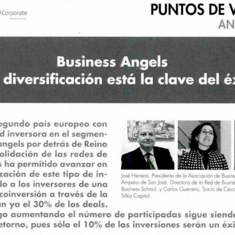 Business Angels, en la diversificación está la clave del éxito